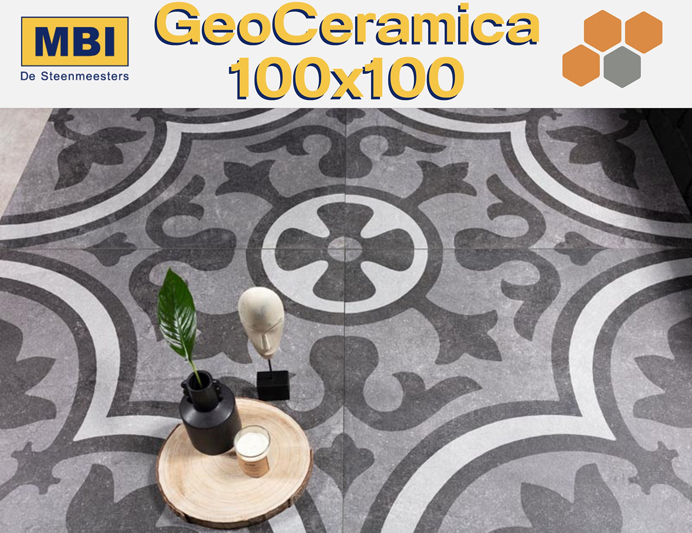 GeoCeramica 100x100
