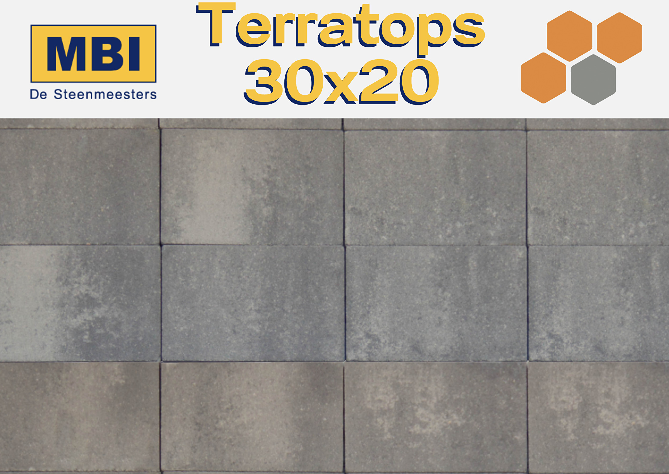 Terratops 30x20