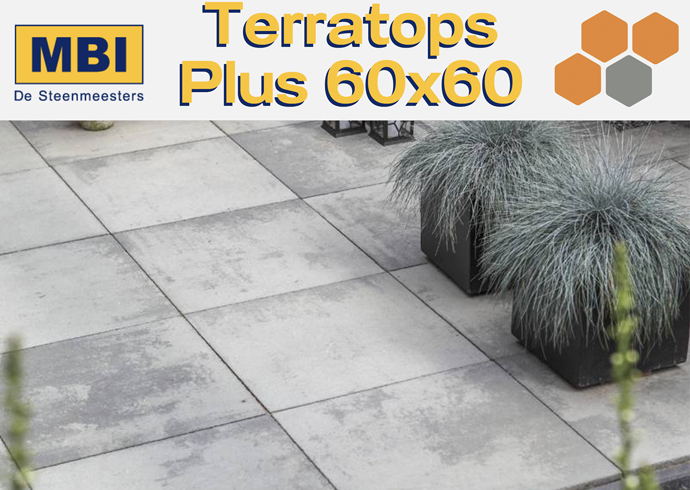 Terratops Plus 60x60