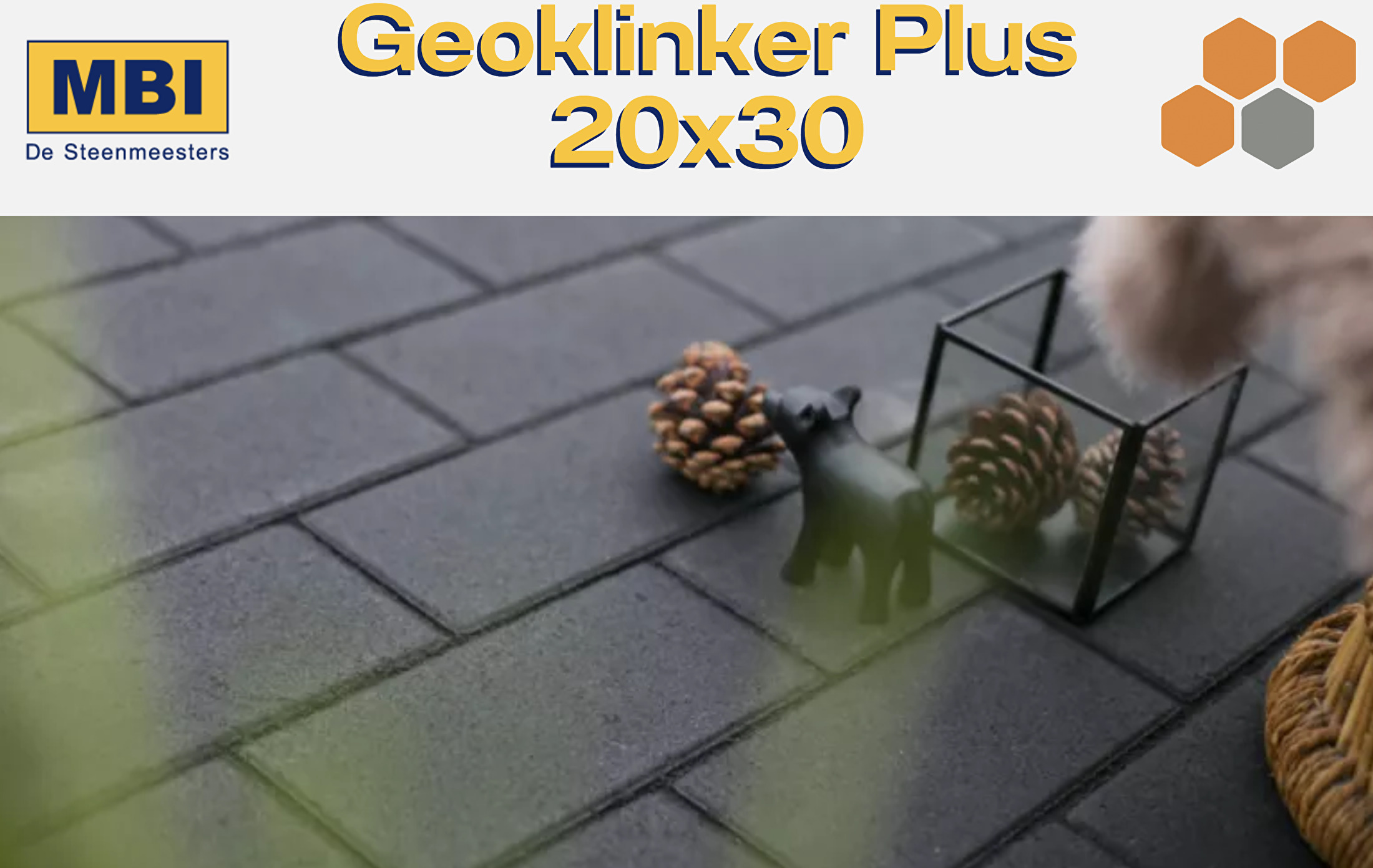 Geoklinker Plus 20x30