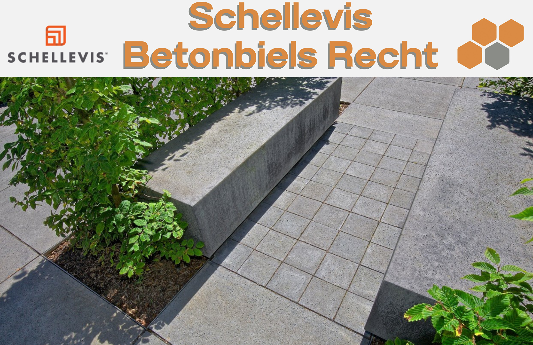 Schellevis Betonbiels Recht