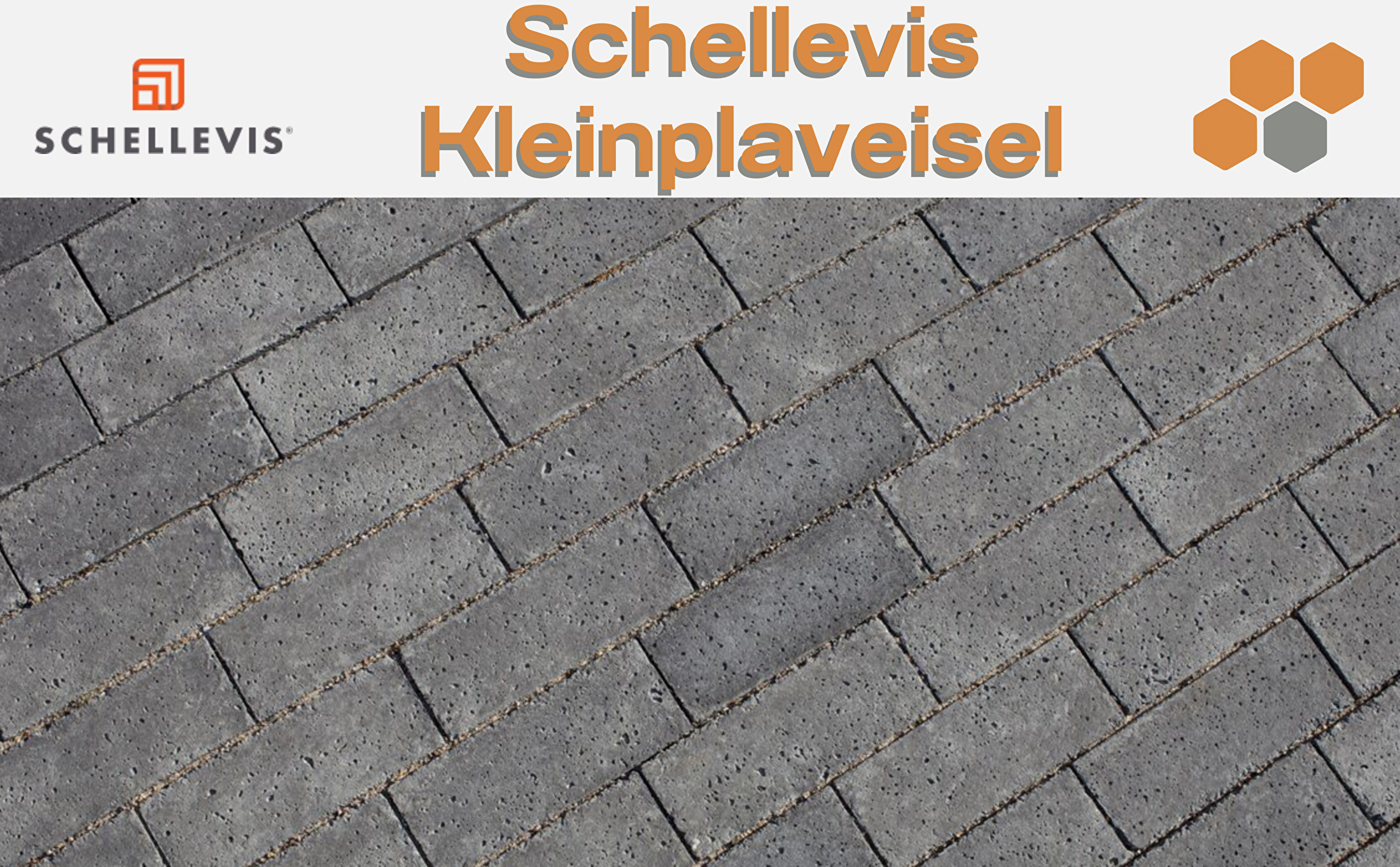 Schellevis Kleinplaveisel