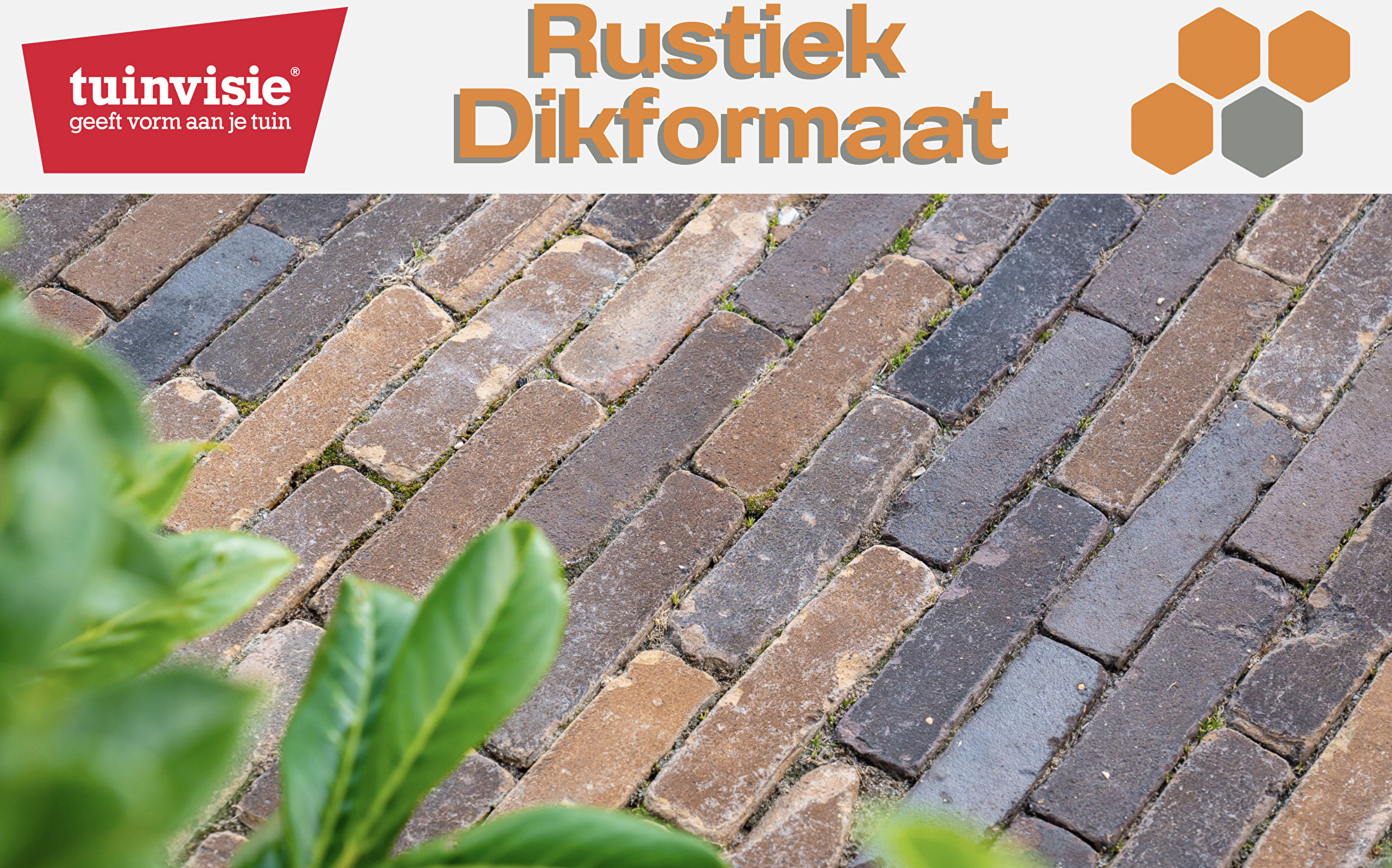 Rustiek Dikformaat