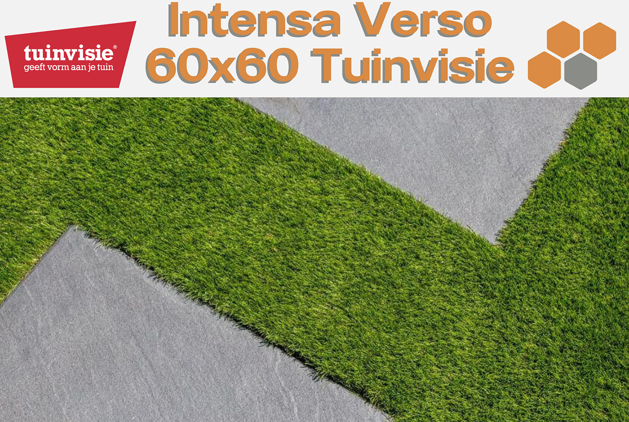 Intensa Verso 60x60