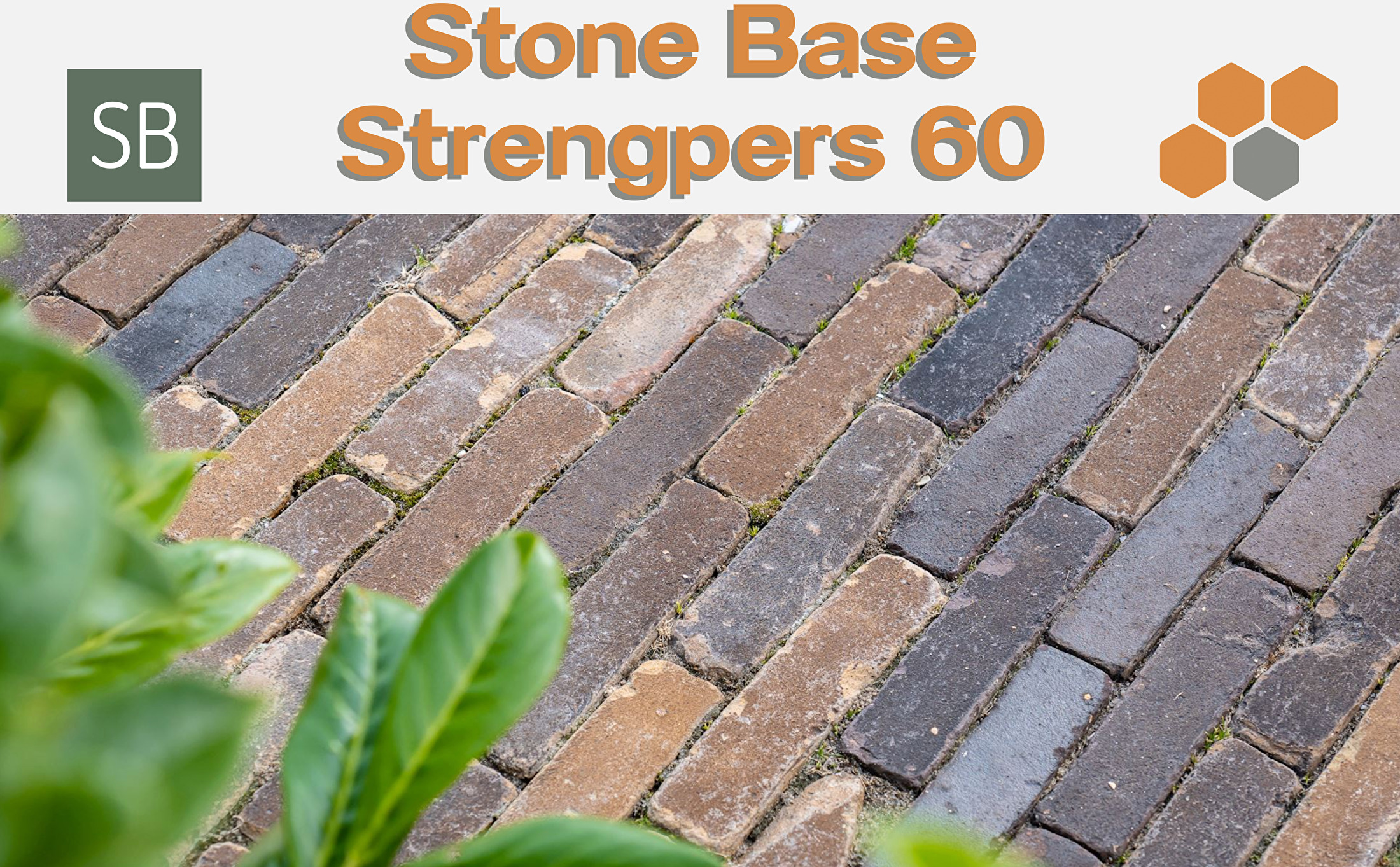 Stone Base Strengpers 60