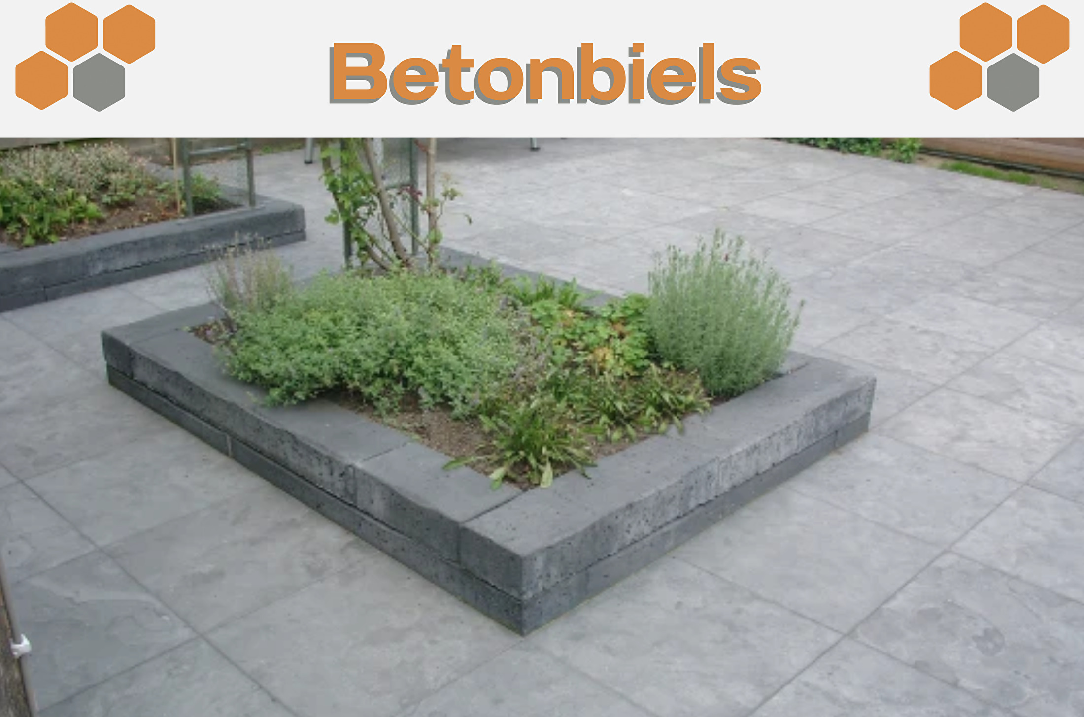 Betonbiels