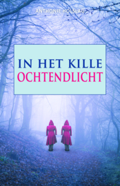 In het kille ochtendlicht - Anthonie Holslag