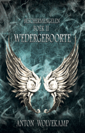 Beschermengelen - boek 2 - Wedergeboorte - Anton Wolvekamp