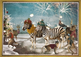 "Zebra's" 4 stuks Luxe kerstkaarten met mooie envelop