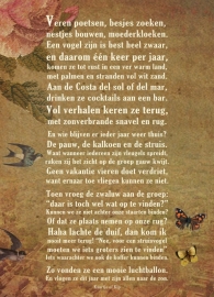 Vogelvlucht poster 30x40 cm met gedicht