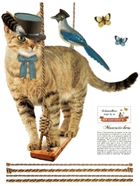 Schommelkater - muursticker