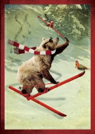 Kerst Kadokaartje - Skibeer