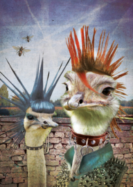 Ansicht nr. 62 - Punk