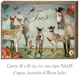 Canvas Zebra jongen - 30x40