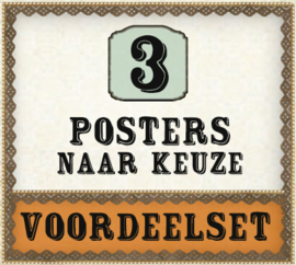 SUPER VOORDEEL! 3 posters 30x40 cm