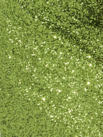 Elena Sequin Midi Skirt Olive Green