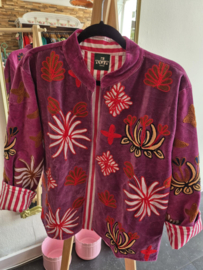 LAATSTE Jasje Leo Velvet Purple Red Front