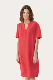 Aminase Dress Bittersweet