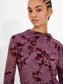 Kenny Mesh Velvet Devore Top