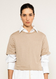 Casual Marine Top Delightful Brown Stripes