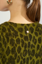 Nuriette Leo Pullover Calla Green