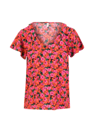 Feed The Birds Bed of Primroses