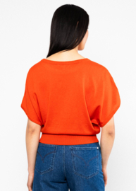 Picnic Friend Dream in Red Knit