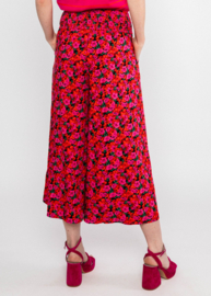 In Full Bloom Bed of Primroses