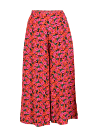 In Full Bloom Bed of Primroses