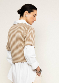 Casual Marine Top Delightful Brown Stripes