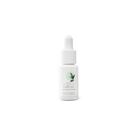 Massada - Green Tea Extract 15ml