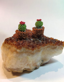 Tutorial Miniature cactus