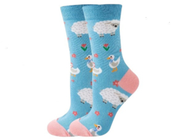 Crazy Socks