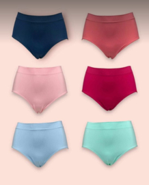Dames Taille Slips 6 Pack M/L Ladies