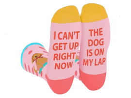 Crazy Socks