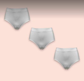 Dames Taille Slips 6 Pack Wit M/L Ladies