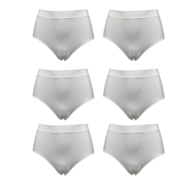 Dames Taille Slips 6 Pack M/L Wit Ladies