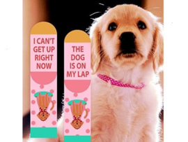 Crazy Socks