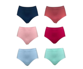 Damen Microfaser Slips – Nahtlos & Bequem (6er Pack, Größen M-L)