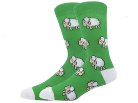 Crazy Socks