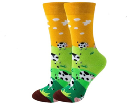Crazy Socks