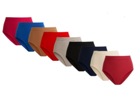 ladies waist briefs 6 colour Pack