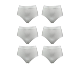 Damen Microfaser Slips – Nahtlos & Bequem (6er Pack, Größen M-L)