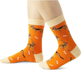 Crazy Socks