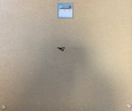 Ophangplaat 100 x 200 mm (tot 12 kilo)