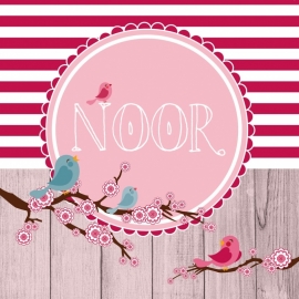 Geboortekaartje Noor