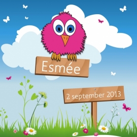 Geboortekaartje Esmée