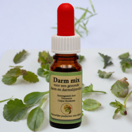 Krachtig kruid darm mix 10 ml