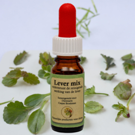 Krachtig kruid lever mix 10 ml