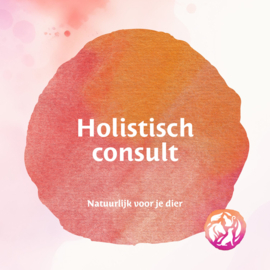 Holistisch consult